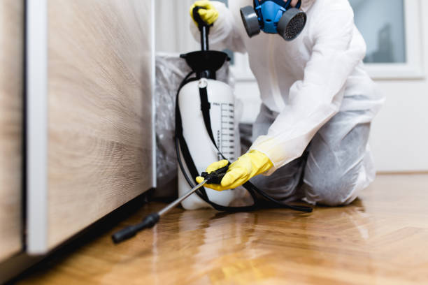 Best Rat Extermination Near Me  in Crawford, GA
