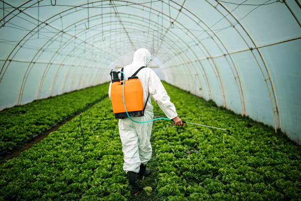 Best Pest Control for Homes  in Crawford, GA