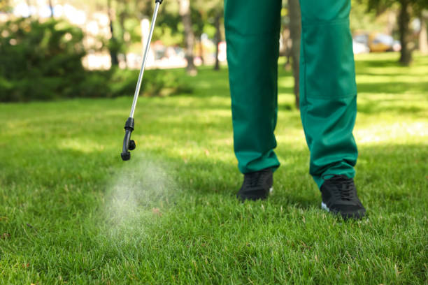 Best Wasp Removal Services  in Crawford, GA