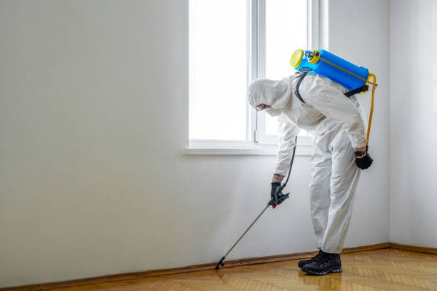 Reliable Crawford, GA Pest Control Solutions