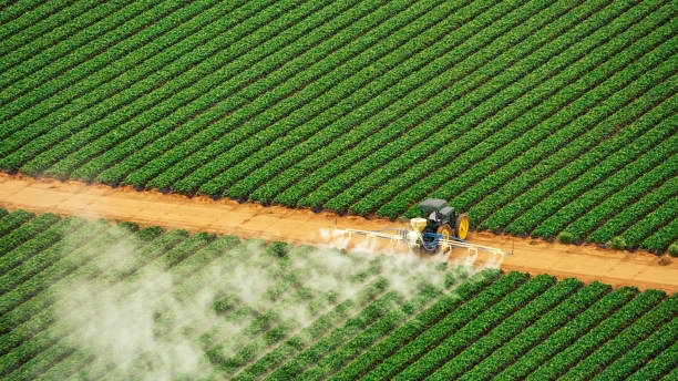 Best Mosquito Control Services  in Crawford, GA