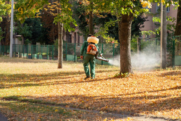 Best Bed Bug Extermination  in Crawford, GA