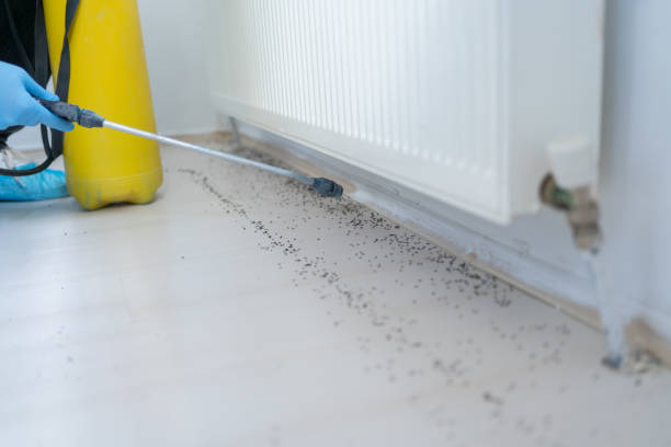 Best Pest Prevention Services  in Crawford, GA