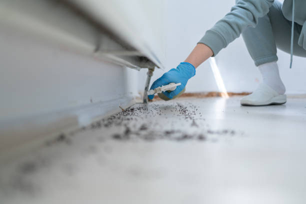 Best Best Pest Control Companies  in Crawford, GA