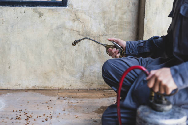 Best Flea Control Services  in Crawford, GA