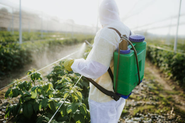 Best Pest Control for Homes  in Crawford, GA